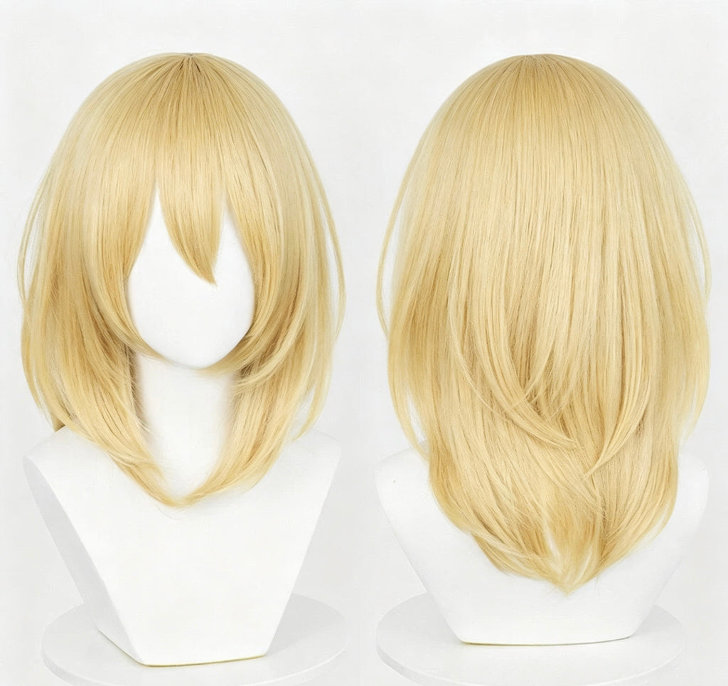 Howl's   Moving   Castle Howl   Long Blonde/Black   Hair Basic   Wig