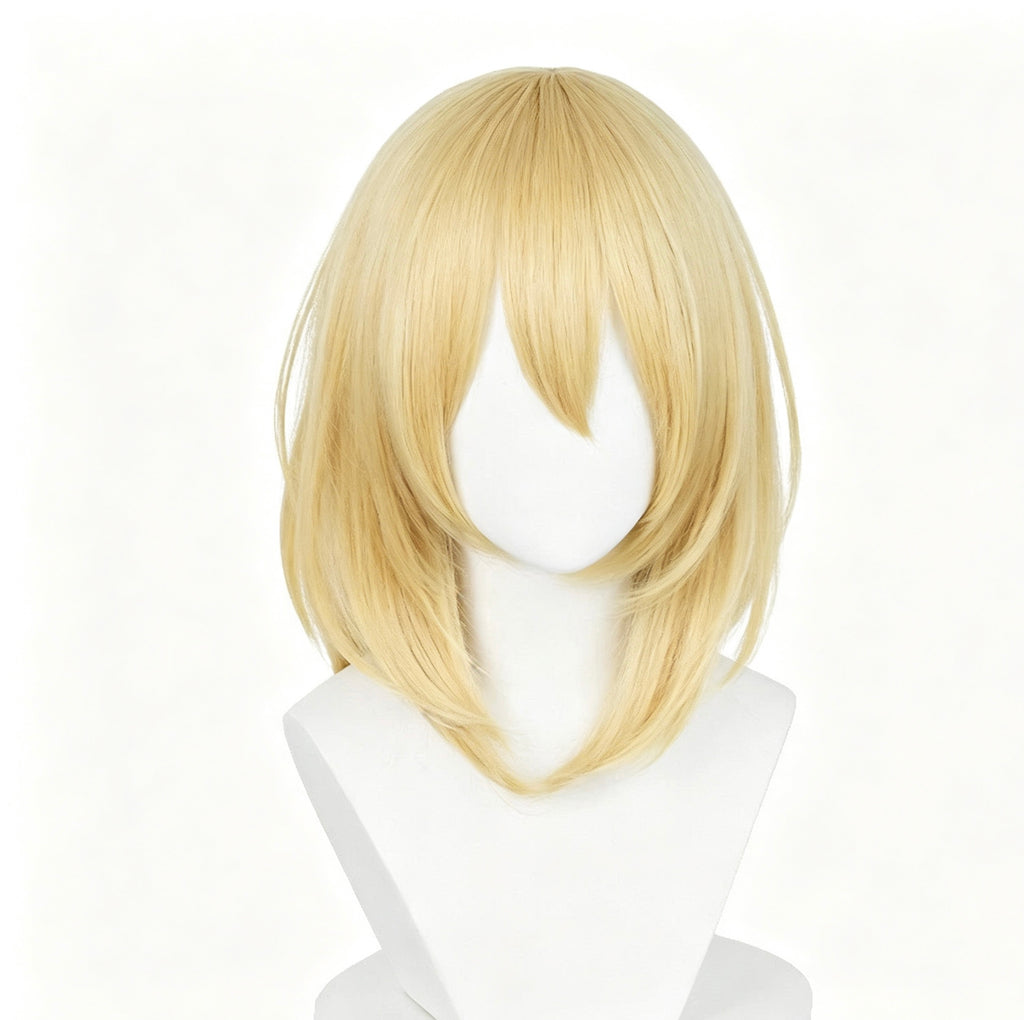 Howl's   Moving   Castle Howl   Long Blonde/Black   Hair Basic   Wig