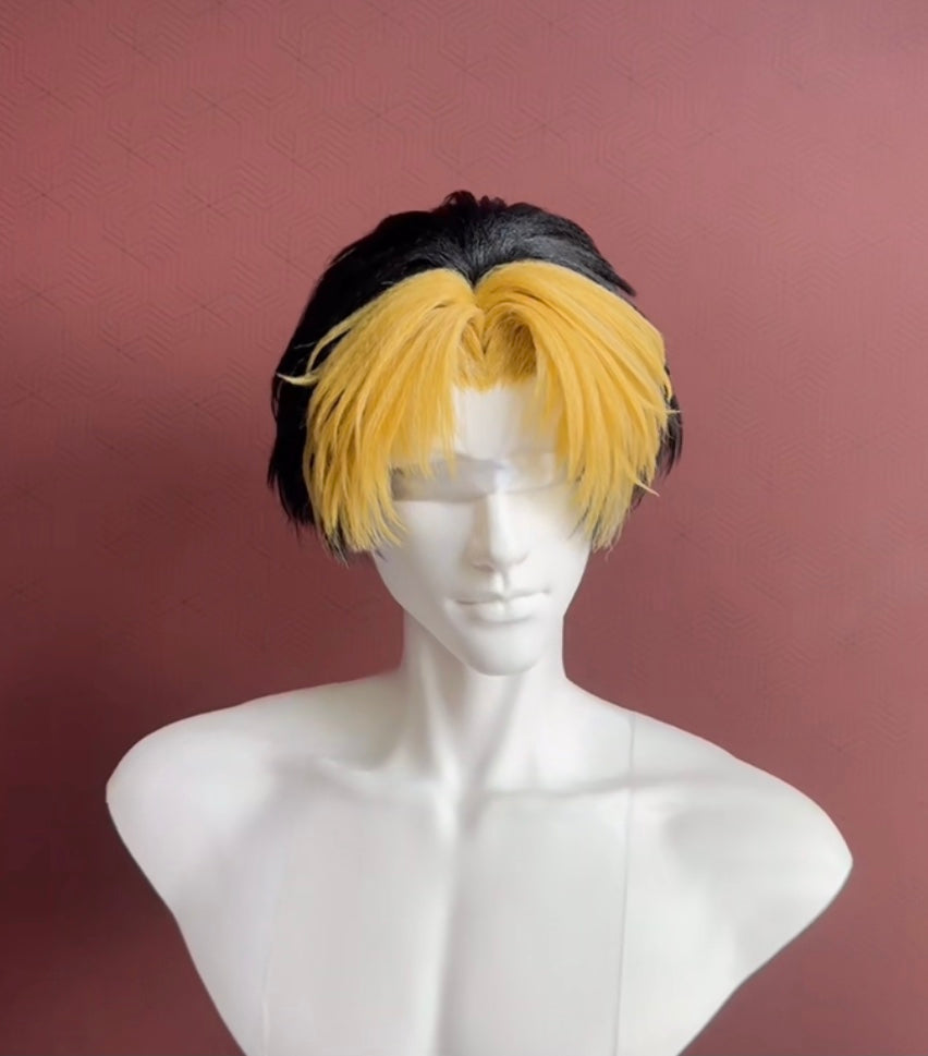 Hikaru no Go – Hikaru Shindo Premium Custom Wig Styling